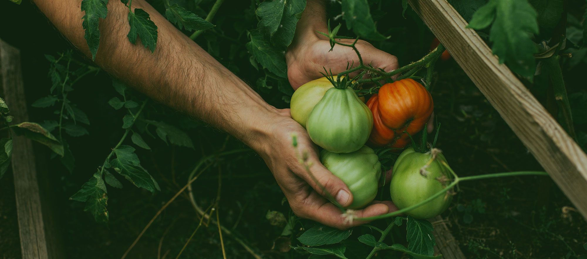 Insieme per sostenibilità e inclusione