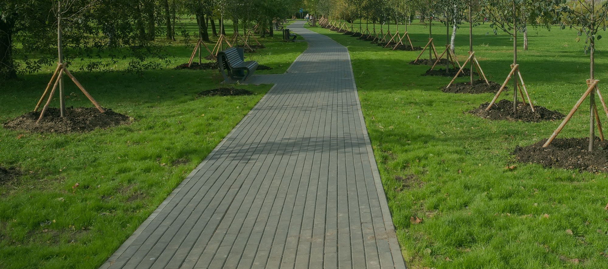 Legge 68/99 e Convenzione art.14