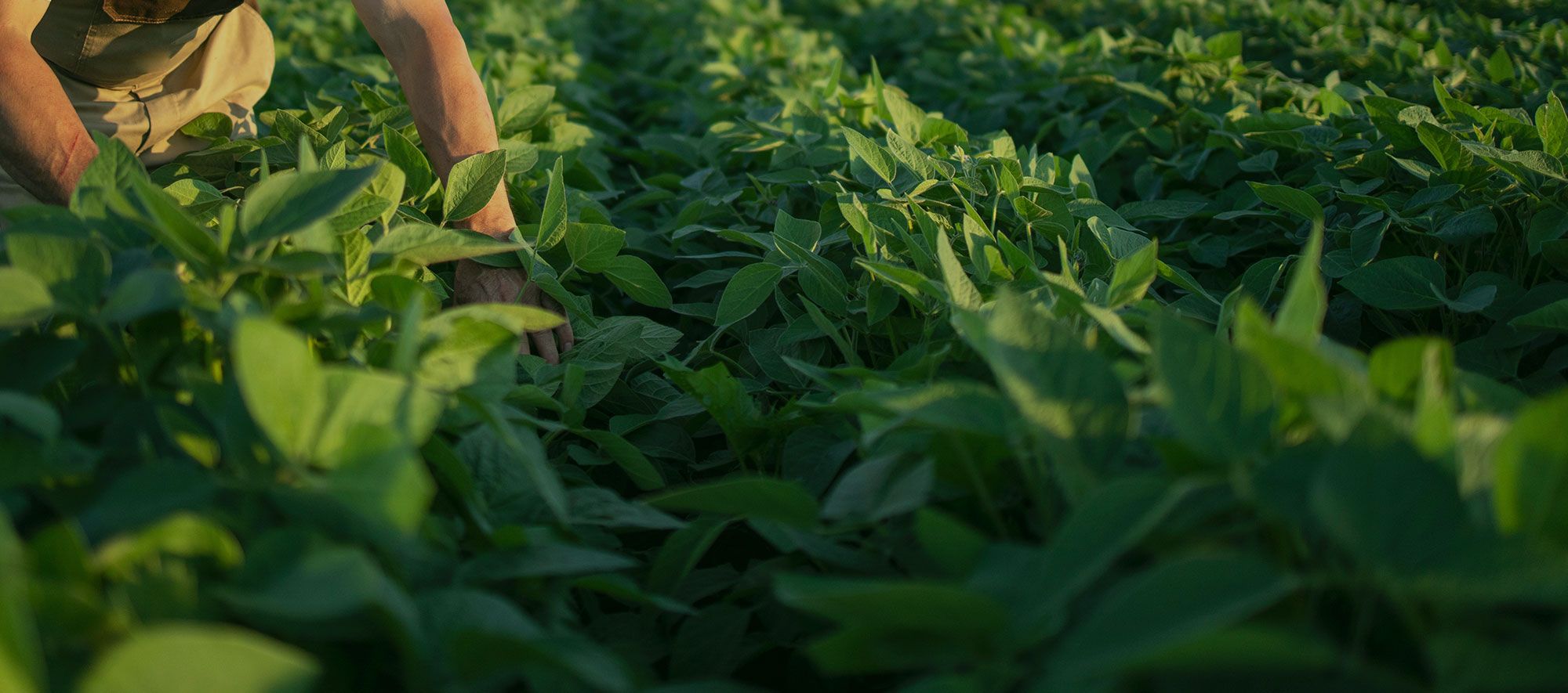 Progetti sostenibili di inclusione